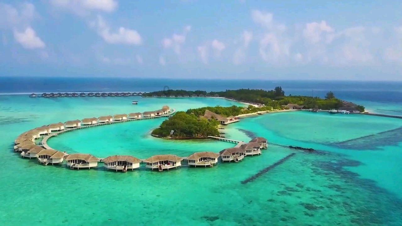 消灭怪物大作战